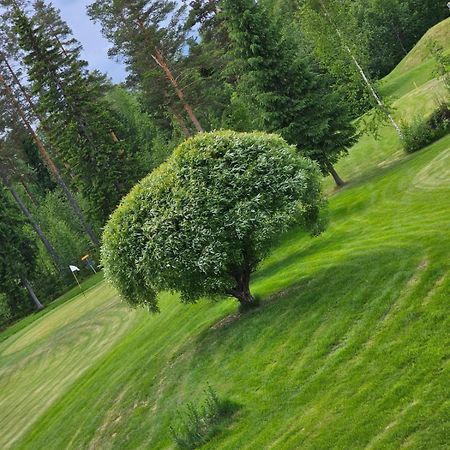 Kesaeaitat Hotel Ähtäri Buitenkant foto