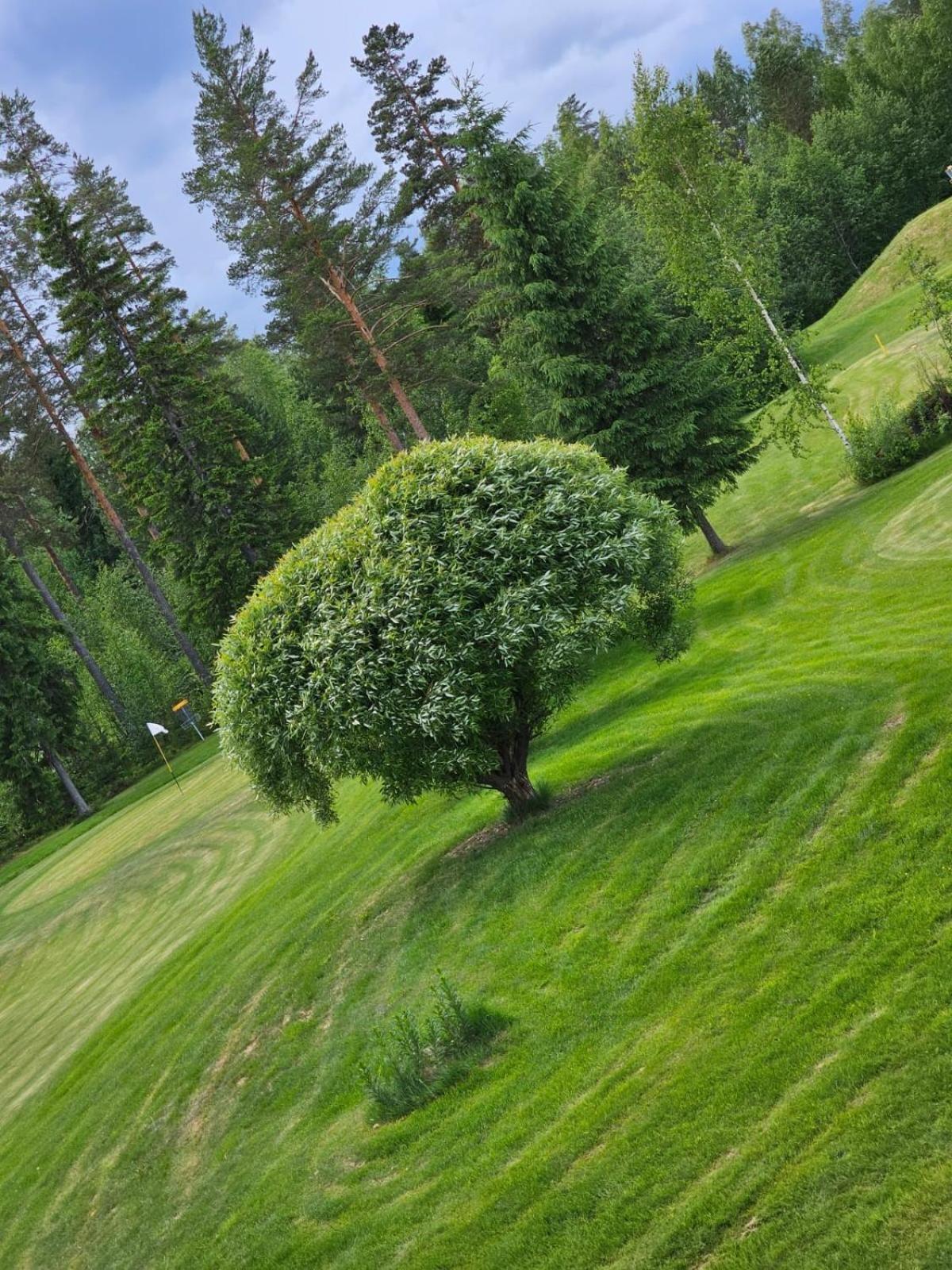 Kesaeaitat Hotel Ähtäri Buitenkant foto